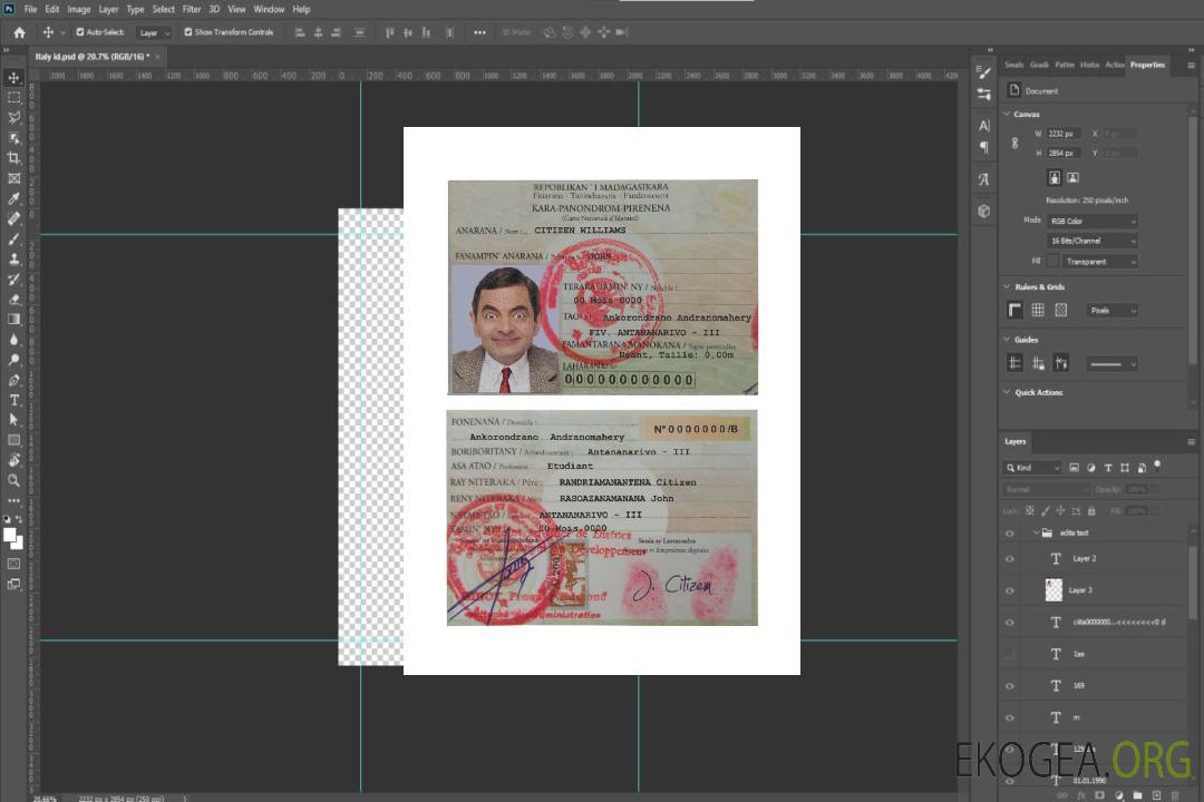 Carte d'identité de Madagascar template Carte d'identité de Madagascar template